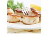 Pan Seared Scallops with Wilted Spinach, Watercress and Orange Salad